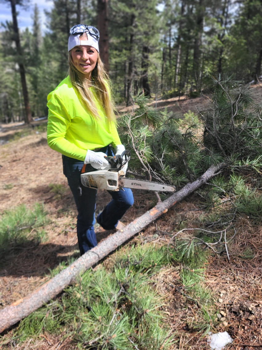summit-tree-service-silverthorne