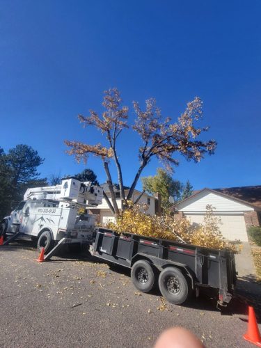 Littleton-Cottonwood-5