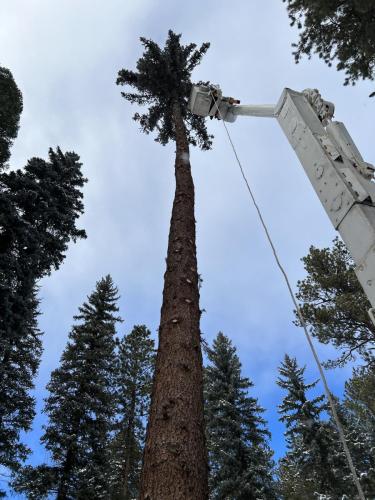 Photo-Dec-26-2023-1-21-51-PM