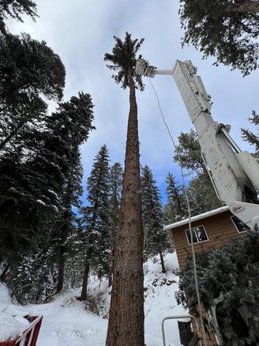 Photo-Dec-26-2023-1-21-54-PM