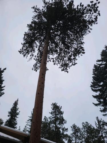 Photo-Dec-28-2023-12-00-17-PM