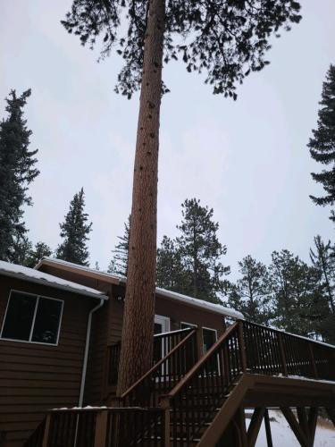 Photo-Dec-28-2023-12-00-21-PM