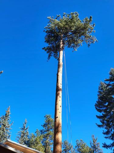 Photo-Dec-28-2023-12-01-57-PM