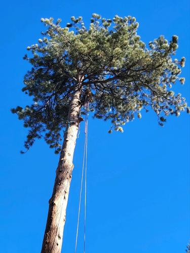 Photo-Dec-28-2023-12-02-02-PM