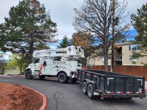 thumbnail 20240429 092420