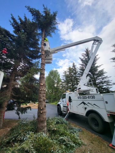 thumbnail 20240716 163911