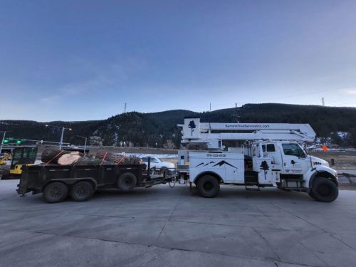 thumbnail 20241202 163423